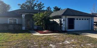 Deltona Lakes Gallery 1