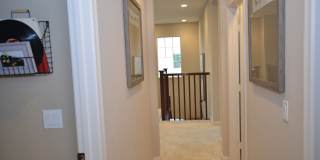 4BD+Loft/3Bathrooms, Sea Glass Blue Strand Gallery 24