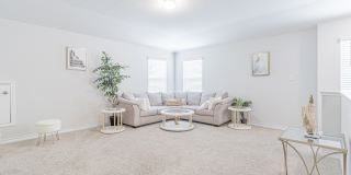 7019 CAPELLA CV Gallery 31