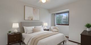 Russian Jack Gallery 4