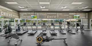 Pine Groves Gallery 26