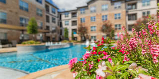 Auxo at Memorial Gallery 16