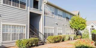 Willow Lake Gallery 39