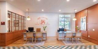 Palomino Park Resort Gallery 32