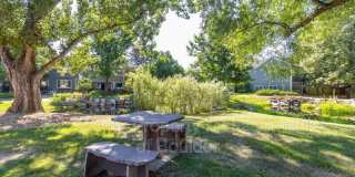 5550 Stonewall Place Gallery 17