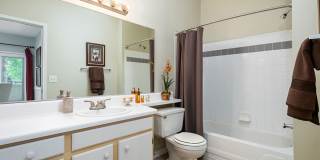 The Falls and Woods of Hoover Gallery 60