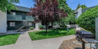 Treehouse Apartments Gallery 53