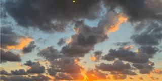 Algonquin Park Gallery 32
