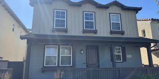 13512 Scarlet Sage Trail Gallery 1