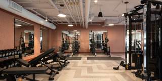 Belle on Bev Belle on Bev Gallery 61