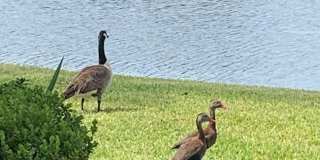 681 Midway Dr Gallery 1