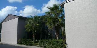 Baywatch Apartments- Five Minutes Driving from USF Gallery 5