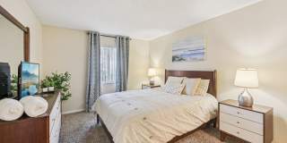 Sarasota South Gallery 9