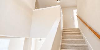 4919 Celtic Gallery 36