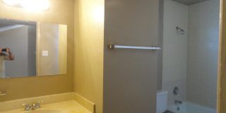 2028 Amy Sue Drive Gallery 3