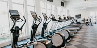 Tanager Tanager Gallery 19