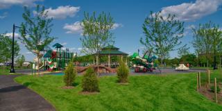 Cobalt Lofts Gallery 39