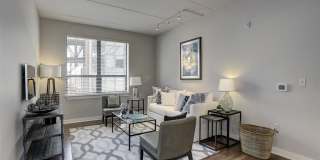 The Gunther Gallery 18