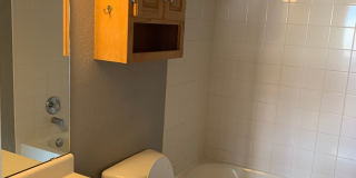 Beautiful Well Maintained 3 bedroom 3.5 bathroom Home Gallery 10