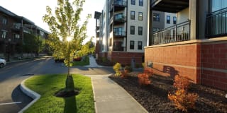 Excelsior Park Gallery 15