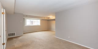 Almar Arms Gallery 3