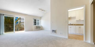 Marina 41 Gallery 12