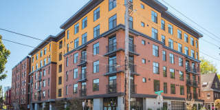 20 Pettygrove Gallery 1