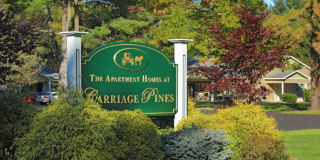 Carriage Pines Gallery 12