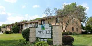 Springtree Gallery 21