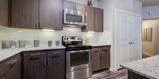 Boardwalk on Research Gallery 7