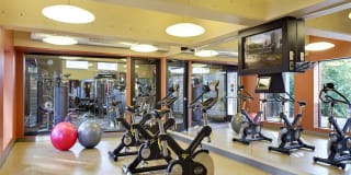 Mears Park Place Gallery 15