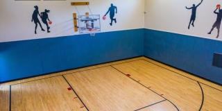 The Seasons Gallery 21