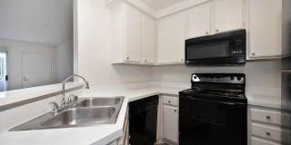 Elan Riverwalk Gallery 15