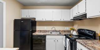 Autumn Woods Gallery 1