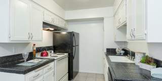 Elan The Palms Gallery 4