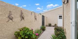 31202 Palma Drive Gallery 11