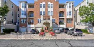 5920 Great Star Drive Gallery 2