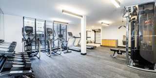 Alice House Gallery 14