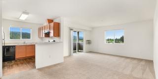 River View Collection Gallery 11