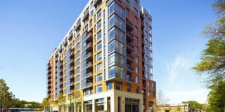 The Lindley Gallery 41