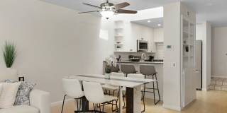 3054 Rue Dorleans Gallery 12
