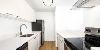 Driftwood Gallery 23