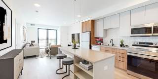 The Mason Gallery 24