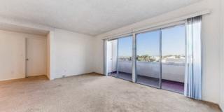 Eddy Seaview Gallery 7