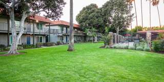 Tierra Palms Gallery 21