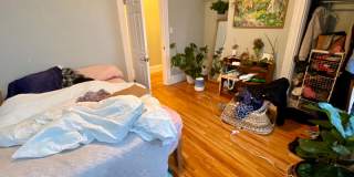 4 Oswald St #2B Boston MA 02120 Gallery 12