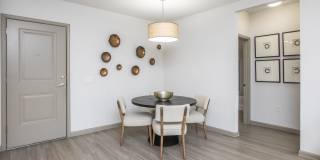 Sola Gallery 17