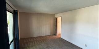 Beautiful 2-bed, 1 bath Home Gallery 4