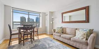 474 North Lake Shore Dr. Gallery 5