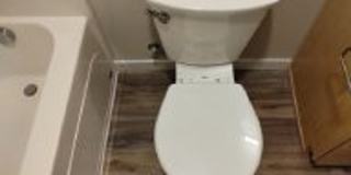 2960 Willamette St. Gallery 241